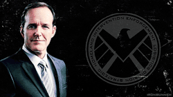 ironbunneh:  Agents of S.H.I.E.L.D. inspired