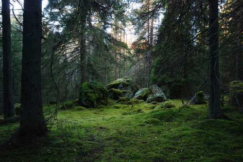 stunningsurroundings:sleeping room by RdeUppsala on Flickr.