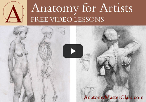 supersonicart: Anatomy Master Classes: Free Online Videos. Sponsoring Supersonic this week is Drawin