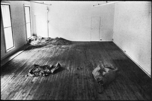 Joseph Beuys. I Like America and America Likes Me, 1974. Photo documentation by Caroline Tisdall.