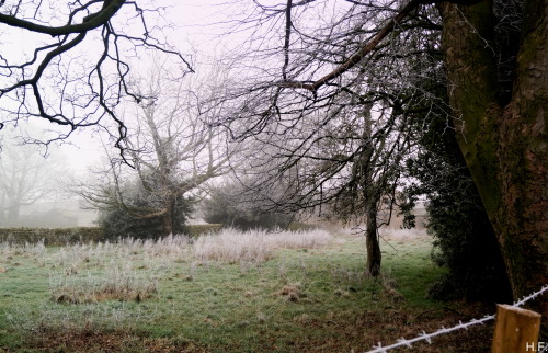 A Cold And Frosty Morning.