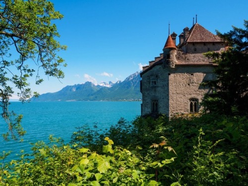 thoughtsforbeees:Château de Chillon // Lake Geneva, Switzerland