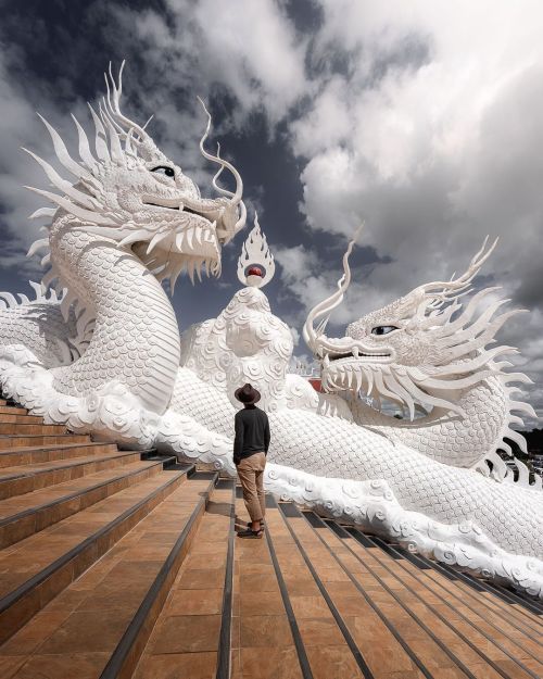 epicfunny:Beautiful White Dragons Wat Huay Pla Kang, Chiang Rai Rimkok district, Chiang Rai, Thailan