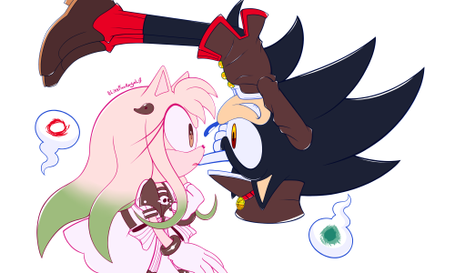 lissfreeangel:  I know it’s not Halloween, but I made this cosplay sonamy for my friend..
