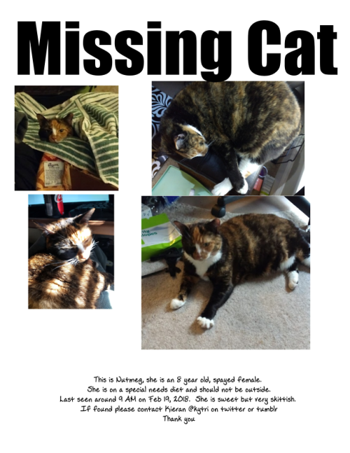 preservedcucumbers:kytri:Hey, so, my cat’s missing. She and I live in Raleigh, NC near Rex Hospital 