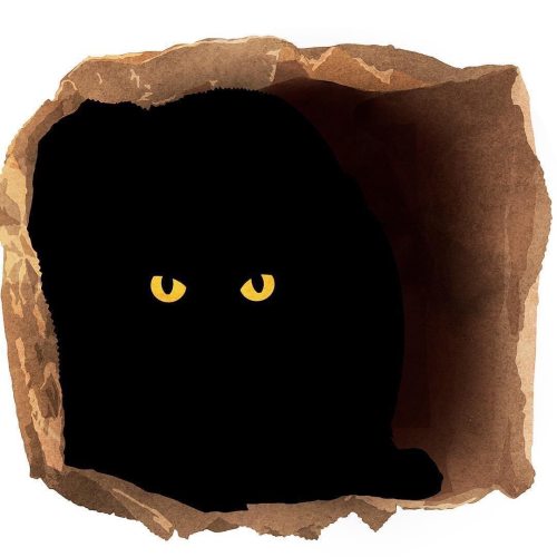  Black Cats, Beware!           To all black cats, please listen keen!           Do fight the urge to