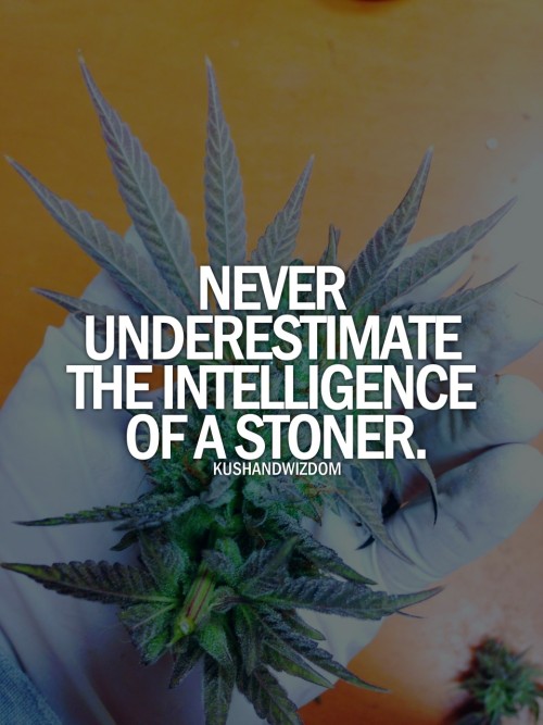 kushandwizdom:   Kush Lounge  truth