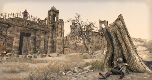 ‘When the warriors of the Ra Gada came to the shores of Hammerfell, some of the fiercest cohor