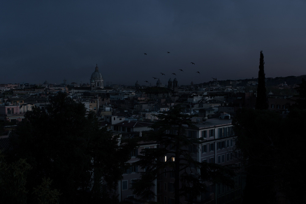 nevver:  Leave a light on, Julien Mauve 