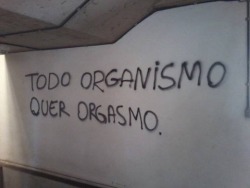 Todo organismo quer orgasmo 