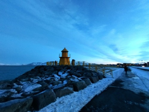 Reykjavik Mornings