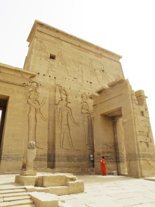 My trip in Egypt -Philae temple, Abu simbil two temples- Aswanスケールがデカすぎる。アブシンベル神殿は内部撮影禁止です。ラムセス２世が建て