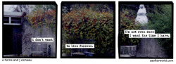 softerworld:  A Softer World: 951 buy this