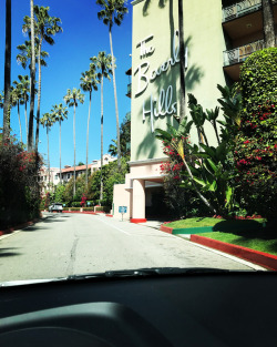 One of my favorite places to spend time in LA ❤️🍷☕️  #beverlyhills #thebeverlyhillshotel #beverlyhillshotel #rosewine #california #latergram #palmtrees #flowers #patio #pololounge #brunch #losangeles #love #leighbeetravel #takemeback #espresso