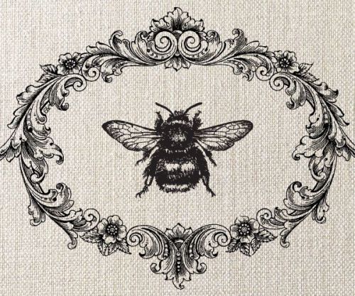 soft bee