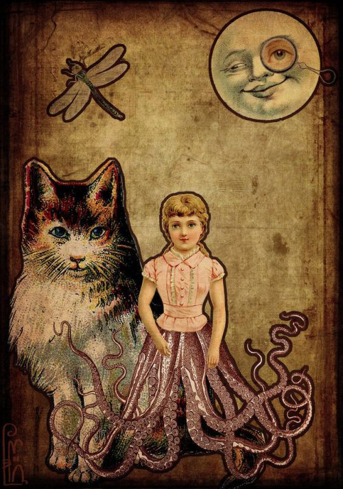 whatjanesaw:  Deer Dandy aka Momo the cat  https://deerdandy.deviantart.com/ 