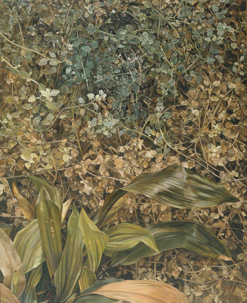 Lucian Freud (Berlin 1922 - London 2011); Two Plants, begun in 1977 and completed