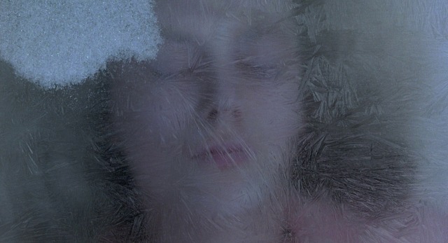 barricklovesmovies:To Die For (1995)dir. Gus Van Santdop: Eric Alan Edwards