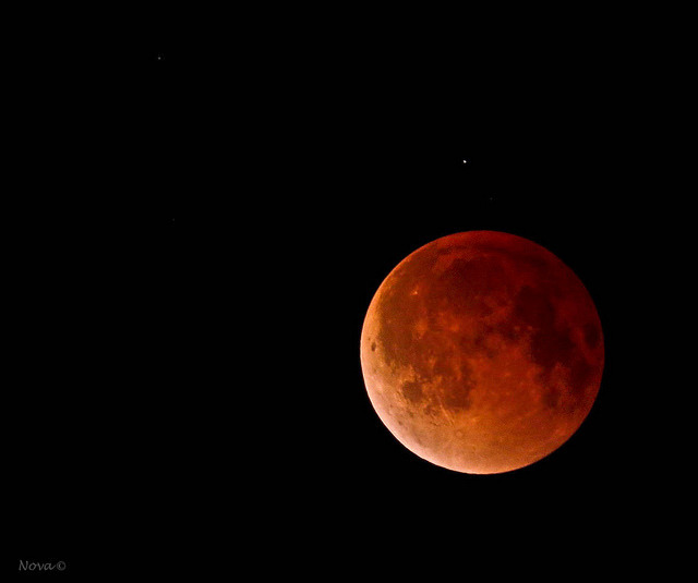 nanve:  Bajo la misma luna / Under the same moon on Flickr.Eclipse lunar 15/04/2014