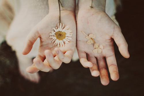 katiesivits:  fairy blood | october 2013 