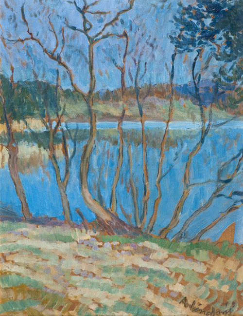 huariqueje:Kallavesi., Lake   -   Anton Lindforss , 1913Finnish, 1890-1943Oil on board, 45,5x35,5 cm