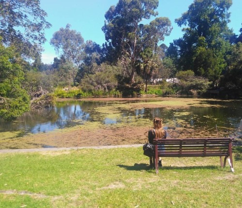 Sunny day in the gardens. . . . #melbourne #australia #travel #photography #royalbotanicgardens #a