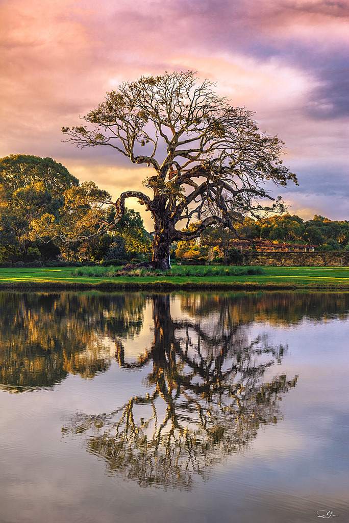 jamas-rendirse:  Victorian Landscape por michaeldomaradzki. 