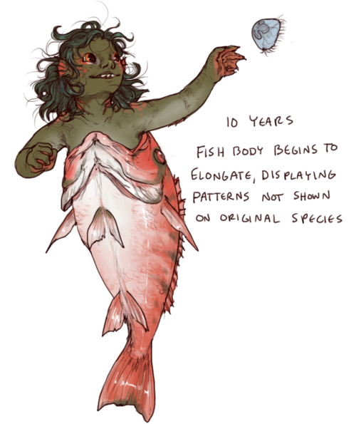 mijukaze: gentlemanbones: iguanamouth: did you know red snapper can live for over 100 years…. what