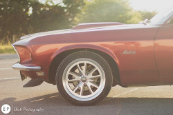 autosrapidos:  &lsquo;69 Mustang http://ift.tt/1poUWnD