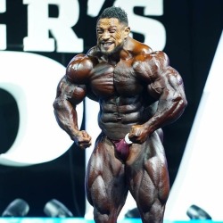 Roelly Winklaar