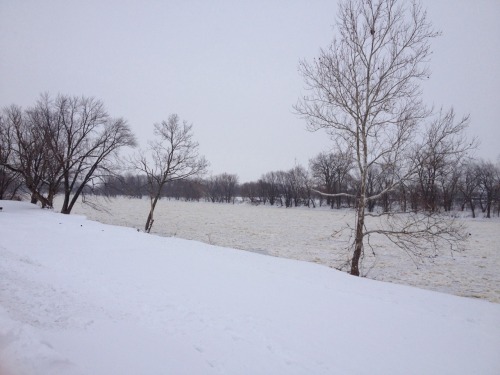 weird winter river and road crossing