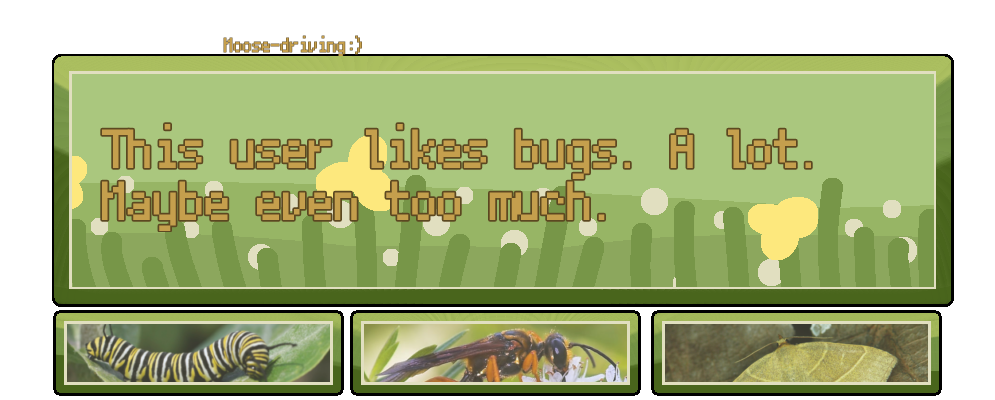 too much bugs