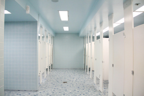 holographing: I can’t believe this picture of a public toilet has 8000 notes the internet is w