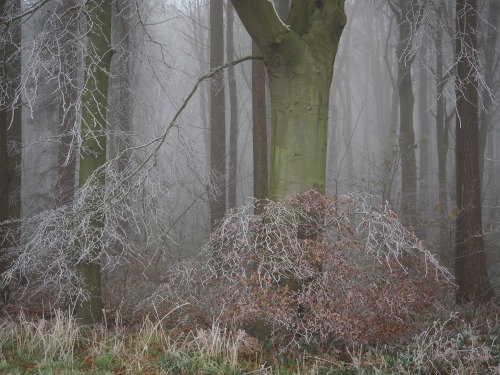 Peddars Way and Houghton, Norfolk.December 2020