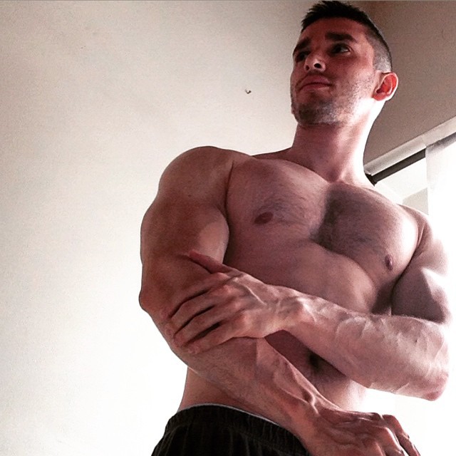 Muscle Blog