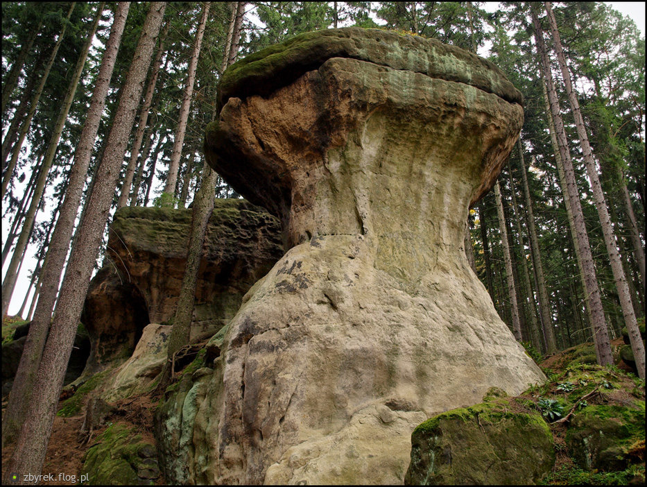 “Głazy Krasnoludków” (Gorzeszowskie Skałki) - The Dwarfs’ Boulders nature reserve in Lower Silesian voivodeship, Poland. Sources of pictures: [1,2,3,4,5]
“ The Gorzeszów Rocks, also known as the Dwarfs’ Boulders, is a fascinating location situated...