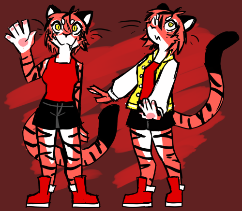 Her Name Is Dash She's A Tiger And Tall And Cool