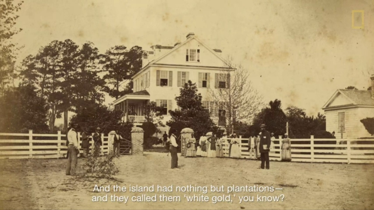 dynamicafrica:  Gullah Storyteller and Historian Theresa Jenkins Hilliard Speaks