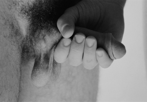gaypornorart:  Daniel Riera, Pollas Uncut, 2013