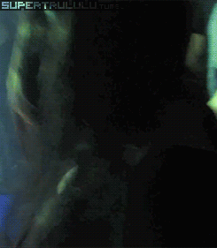 wifelovesbigblackcocksdicks:  black cocks