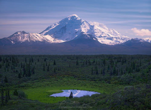 drxgonfly:Distant & A Pine Tree Hill (by Greg Boratyn)Photographer’s Website | Instagram | 500px