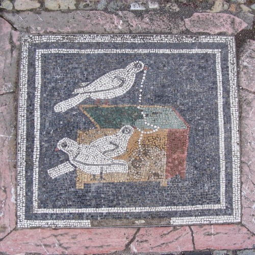 Mosaico di uccelli di epoca romana, Pompei, 2009.