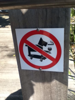 memeguy-com:  This must be the coolest dog ever not allowed here