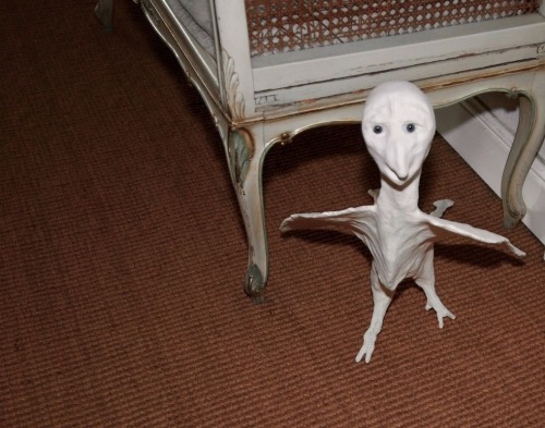 *ring Doorbel Sound* Checks Camera. Oh.. Oh Good Lord. Who Are You ? What Are You Doing Here!??!! Gwt