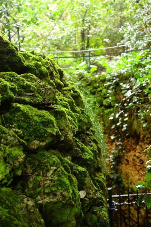  Promenade plantée