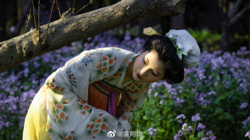 [Hanfu · 漢服]China Tang Dynasty Chinese Traditional Clothing Hanfu PhotoshootsLate Tang Women&