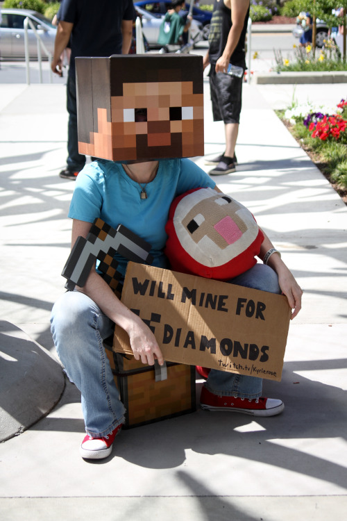 anything-photography:  There was some pretty awesome cosplay at Fanime 2014 this weekend. You can check out all the cosplay I shot [here].