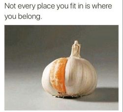 Just because you fit in… doesn’t