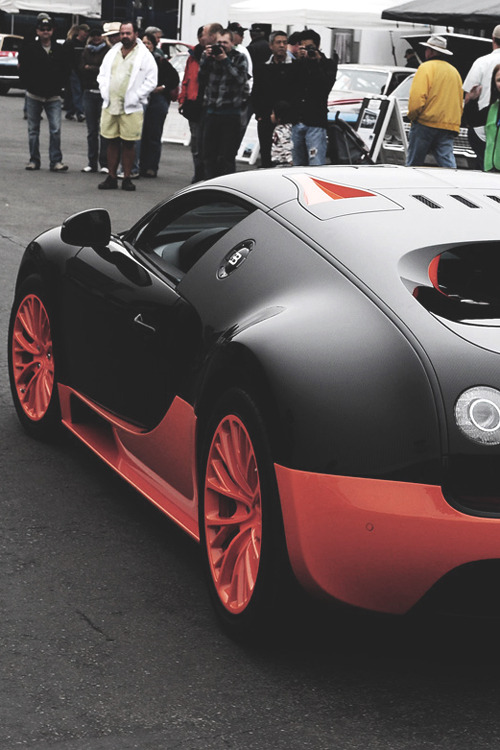 5minutefreshenup:  Veyron Super Sport / © / 5MFU 