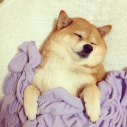 mescalineforbreakfast:  such snuggle much